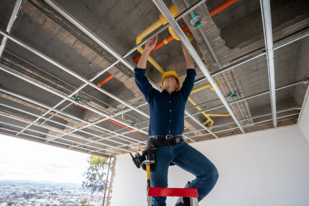 Best Commercial Plumbing Services  in Bonney Lake, WA